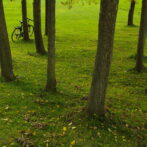 A Bookworm Takes a Bike Ride